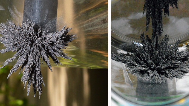 Cool science experiments for kids with magnets magnetic field