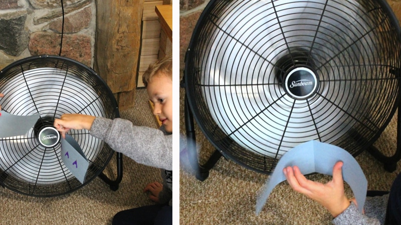 Why do birds play in a V birds activity