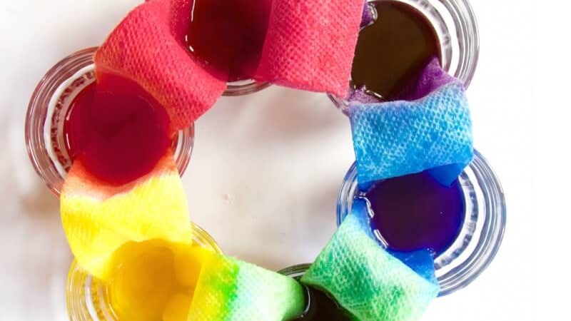 Make a rainbow with paper towels water rainbow