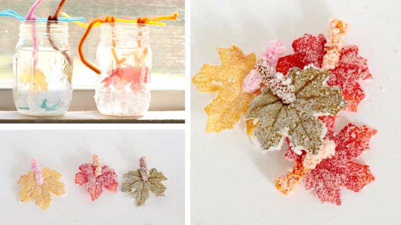 Crystalize leaves for kids frosty leaves