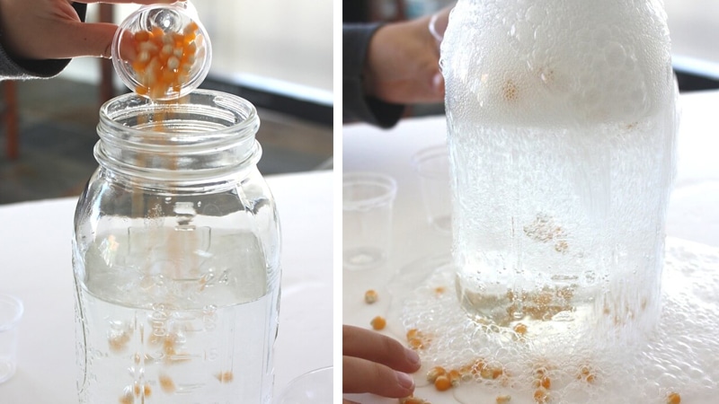 Watch popcorn dance magic popcorn