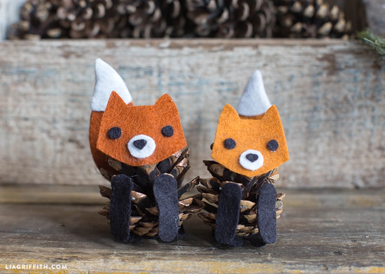 Friendly Pine Cone Fox