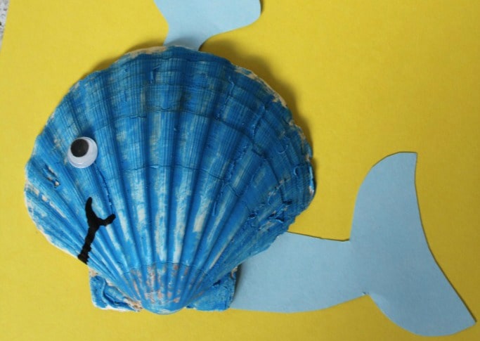 A Whale Of A Seashell