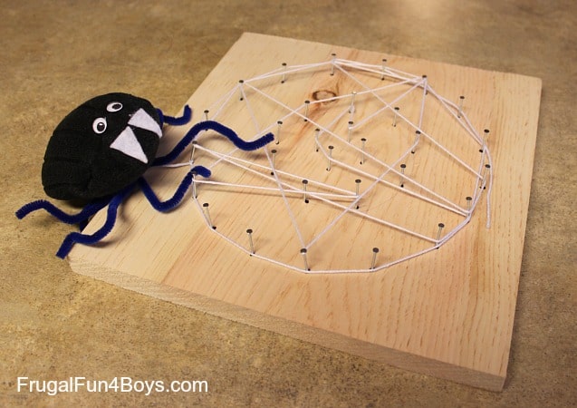 Itsy Bitsy Spider (and Web)