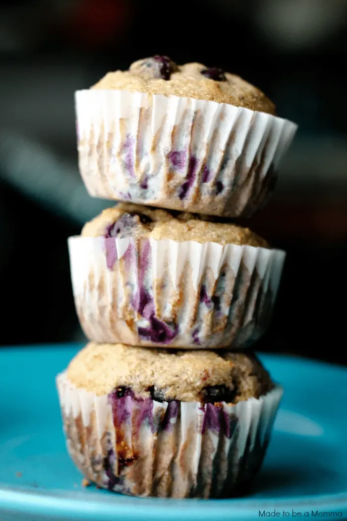 Blueberry Yogurt Muffins