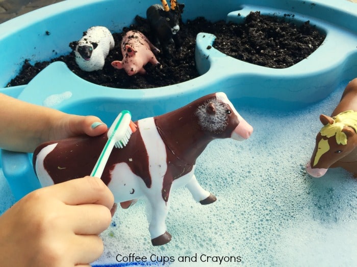 Plastic Animal Bath