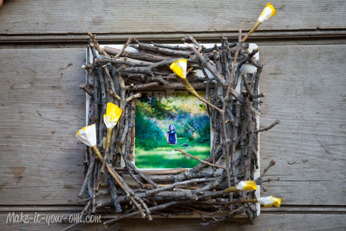 Twigs in Bloom Frame