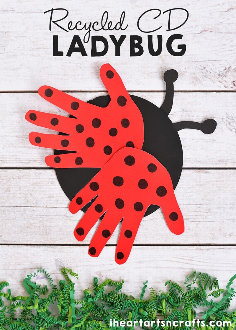 ladybug from cd