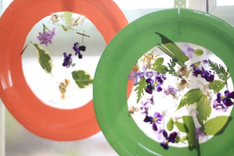 Nature Suncatchers