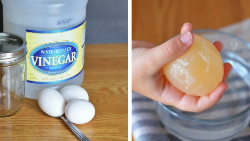 vanishing egg shell