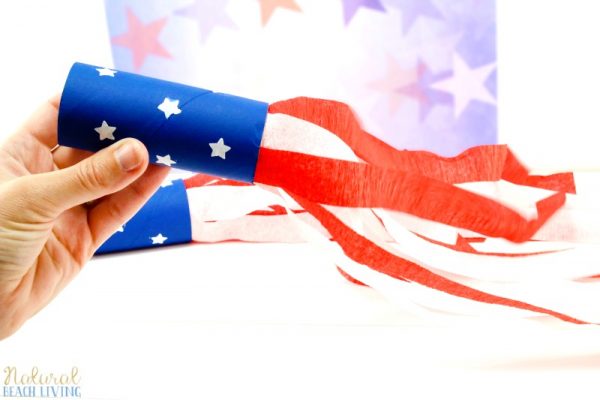 All-American Mini Windsock