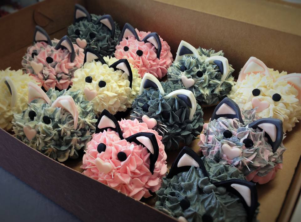 A Box Full Of Kittens