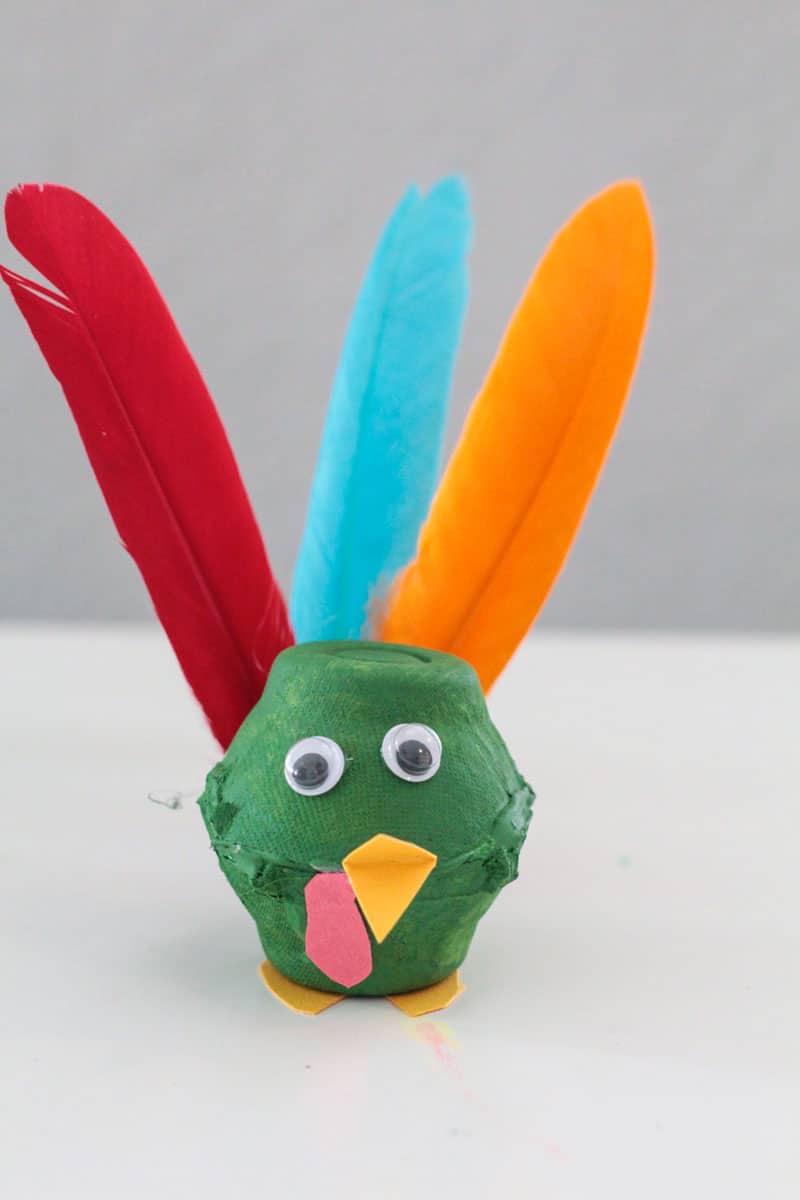 A Turkey, Eggs-actly