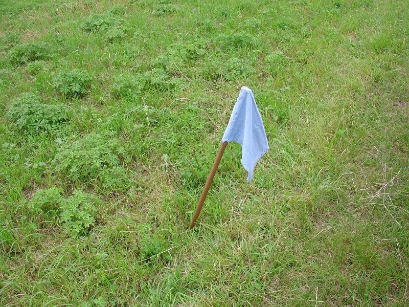 Classic Flag Capture Game
