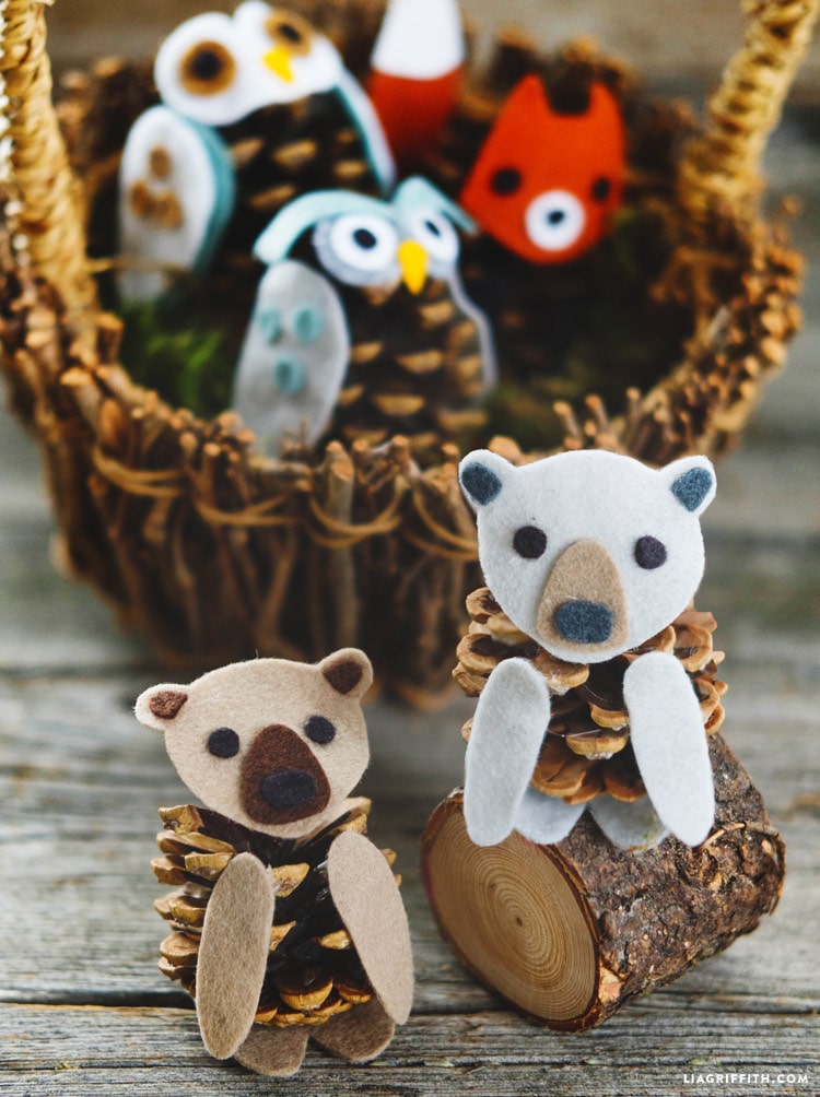 Cuddly Pine Cone Bear