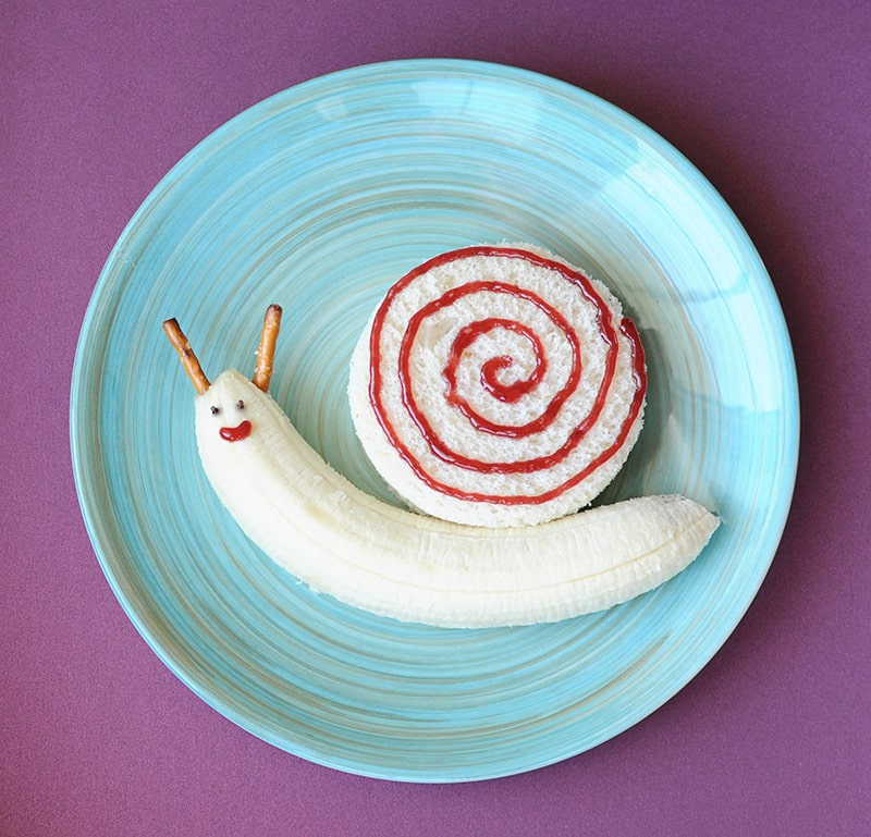 Lunch Box Snail