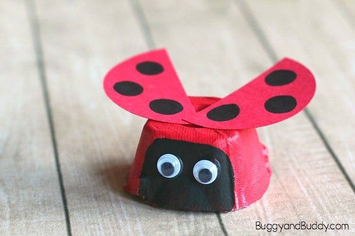Upcycled Ladybug Craft