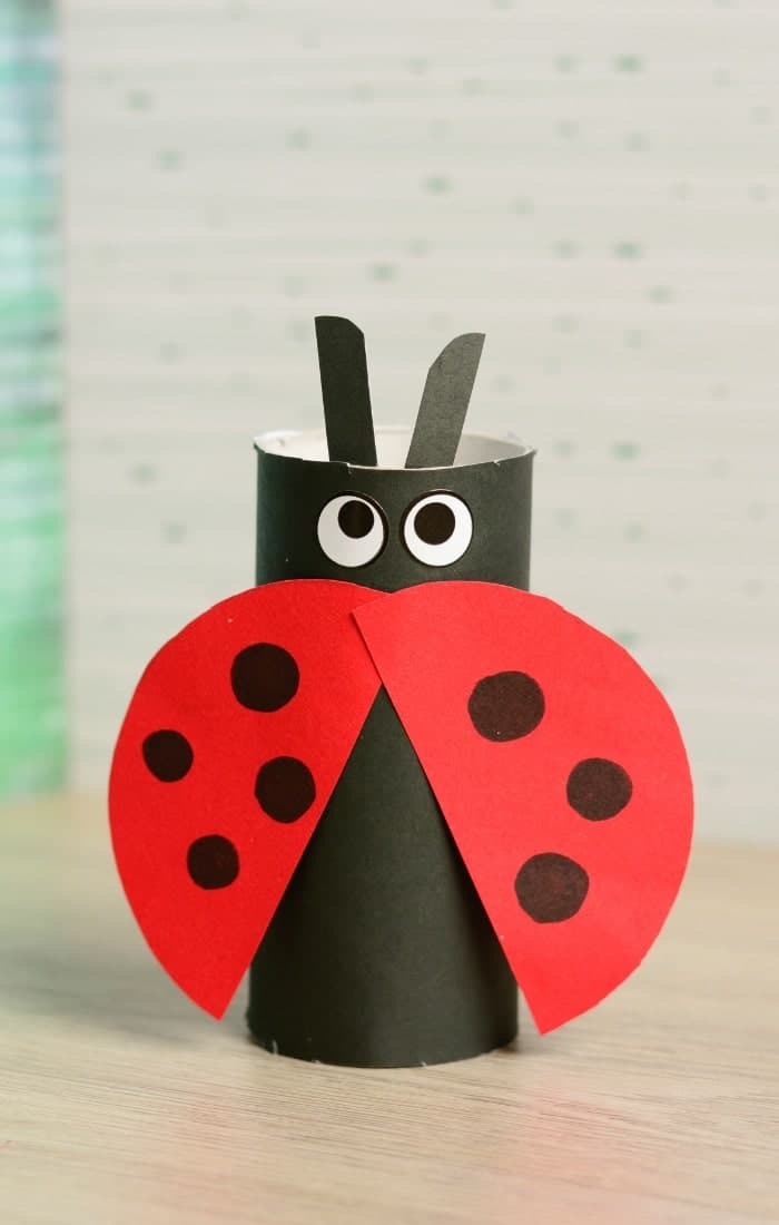 Shy Little Ladybug