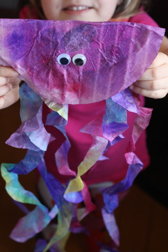 Non-Stinging Jellyfish