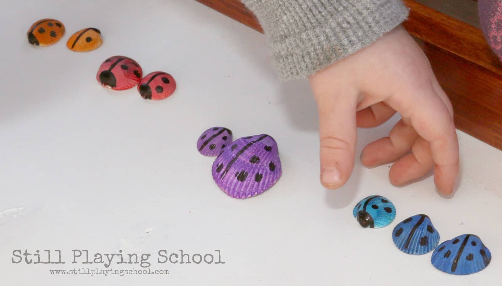 Ladybug, Ladybug