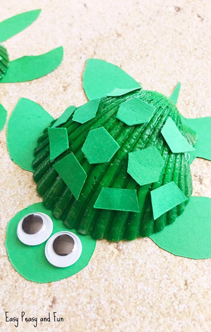 Shelly Seashell Craft