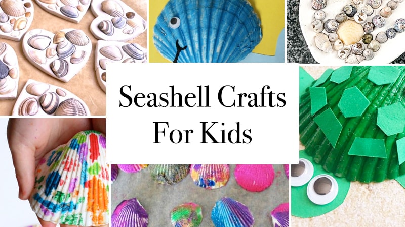 Seashell Crafts For Kids