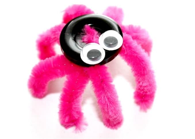 Fuzzy Wuzzy Wuz A Spider