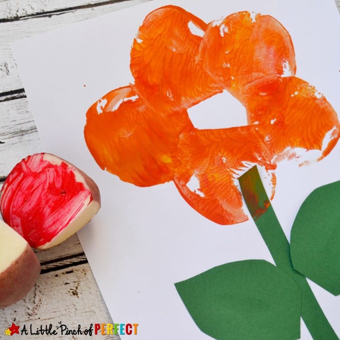 Potato Stamp Flower Craft