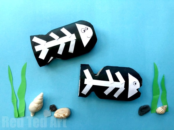 See Inside A Fish Craft