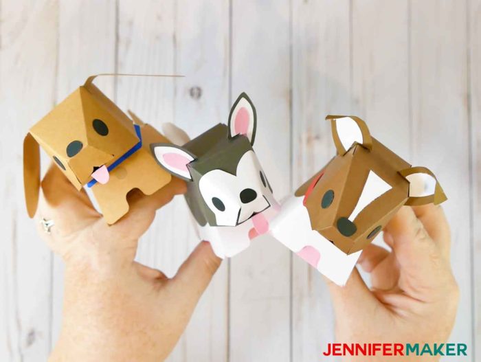 Adoptable Puppies In A Box