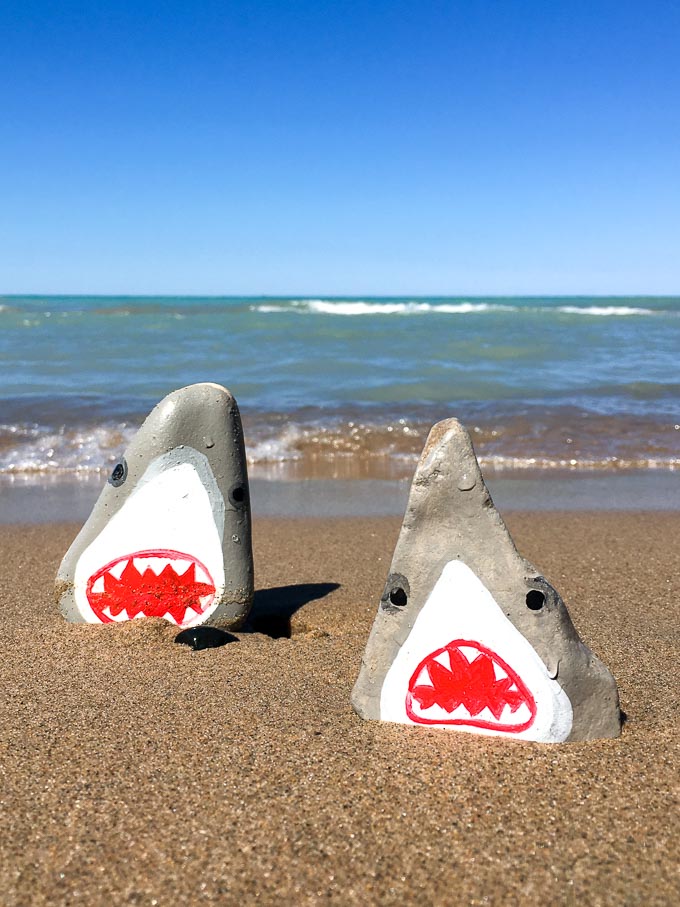 Rock Shark...