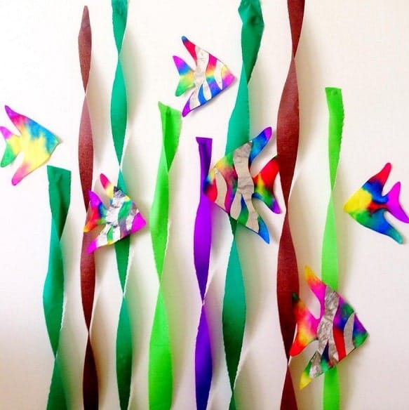 Coffee Filter Angelfish