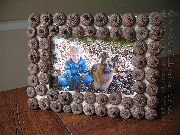 Picture This Adorable Acorn Craft