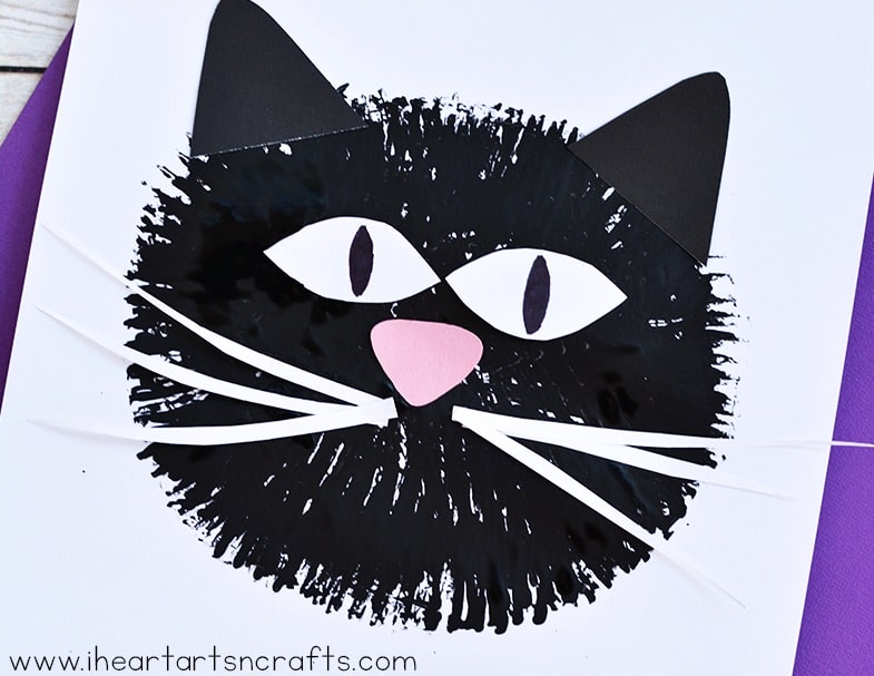 Fluffy Cat Face