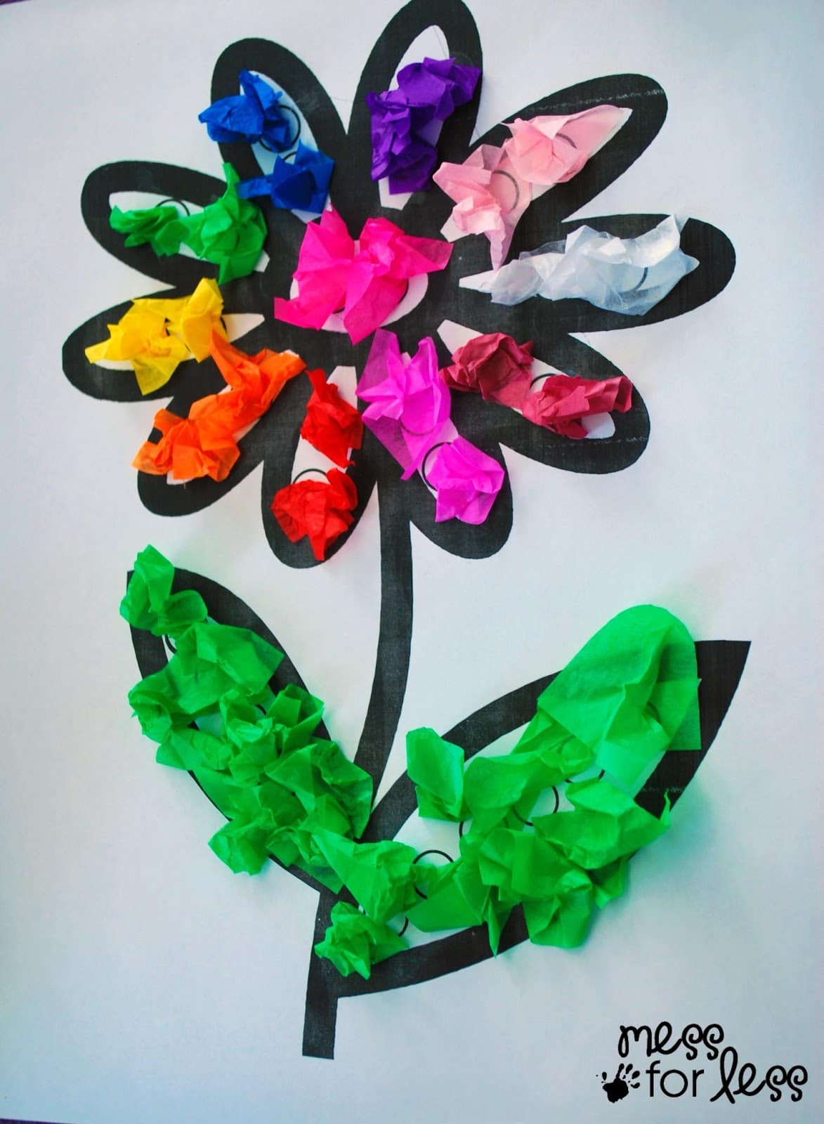 A Rainbow Of Spring Flowers