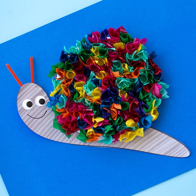 Beautiful Textured Snail