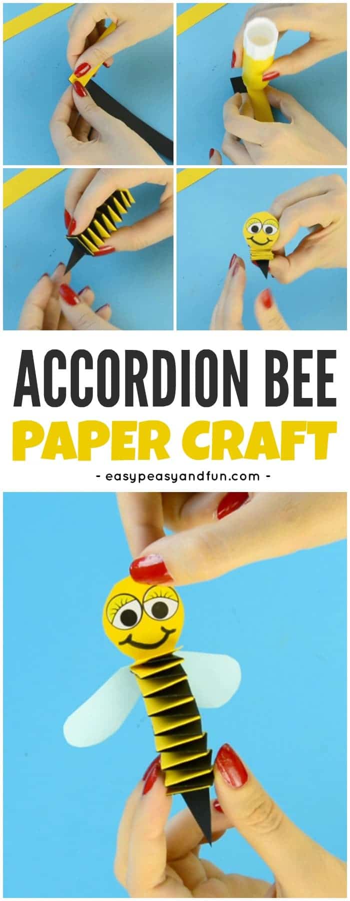 “Accordion” To The Local Buzz