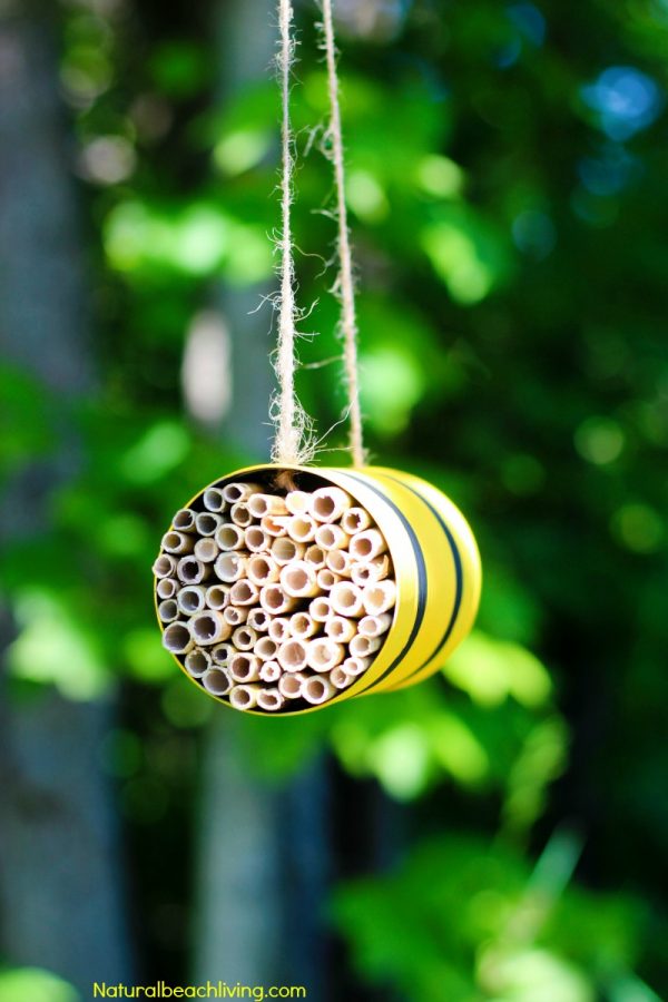 Save The Bees