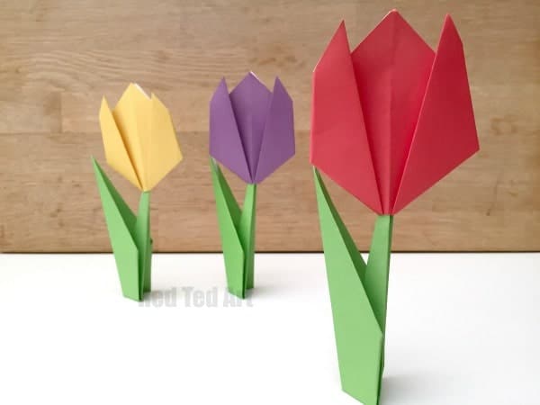 Your Own Tulip Garden