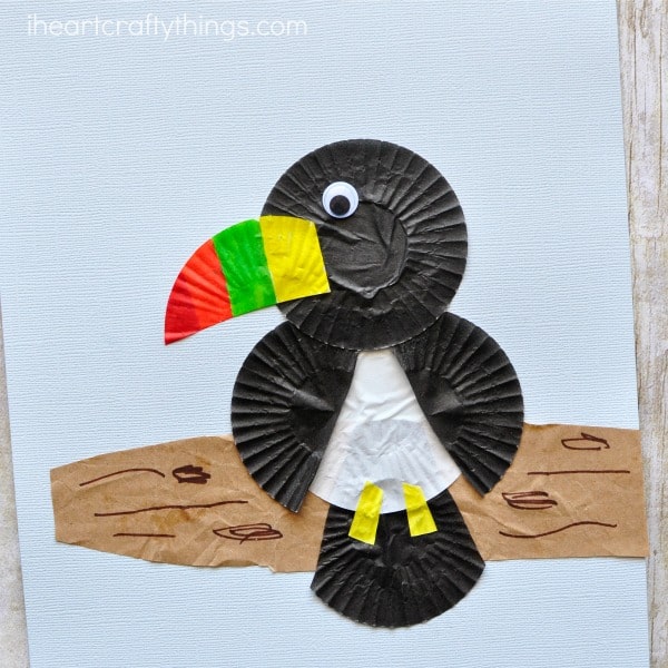Who Can? Toucan!