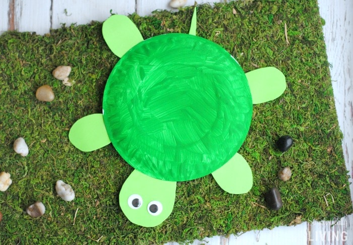 Hero In A Halfshell