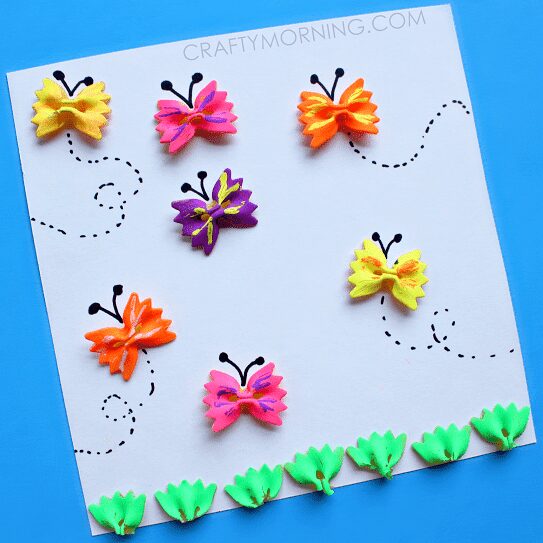 Bowties & Butterflies