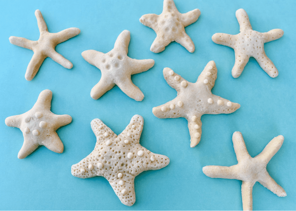 Starfish Beach Craft