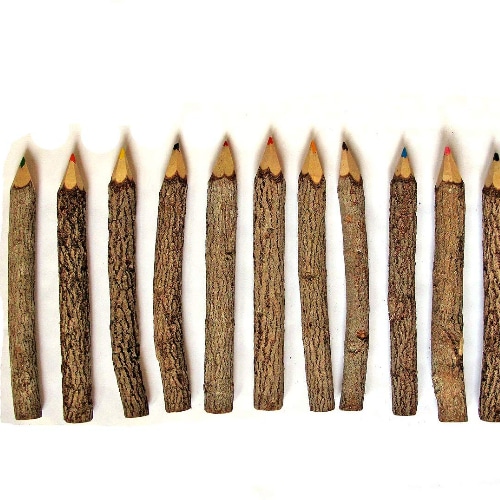 Branch & Twig Colored Pencils 
