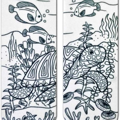 Color-In Socks 