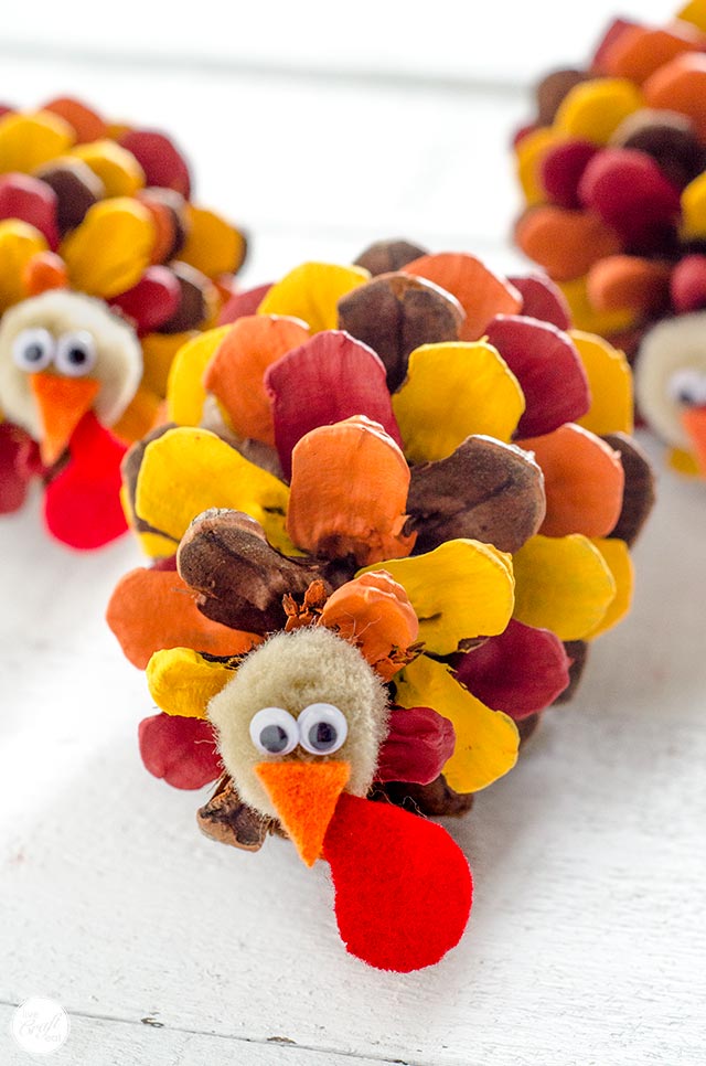 Nature's Turkey Craft