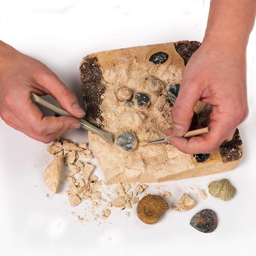 Mega Fossil Dig Kit