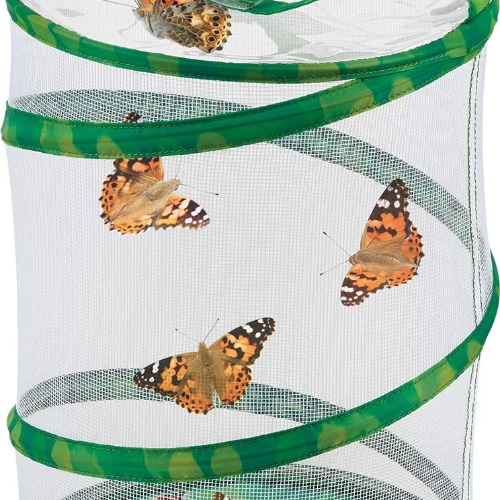 Real Butterfly Garden 