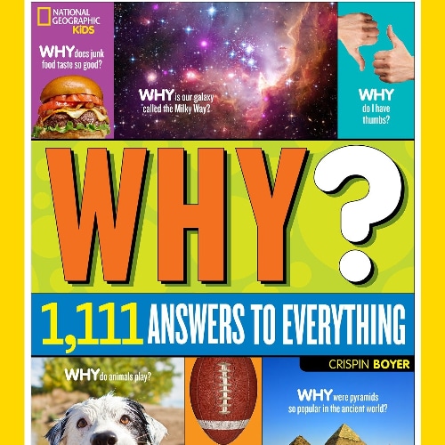 ‘Why?’ The Book: Over 1,111 Answers To Everything