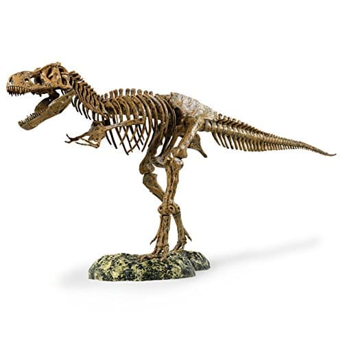 T-Rex Skeleton Replica Model 